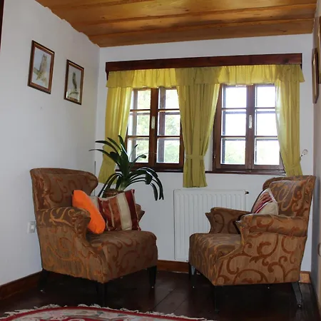 Na Gmajni Pr' Anglezu Nyaraló