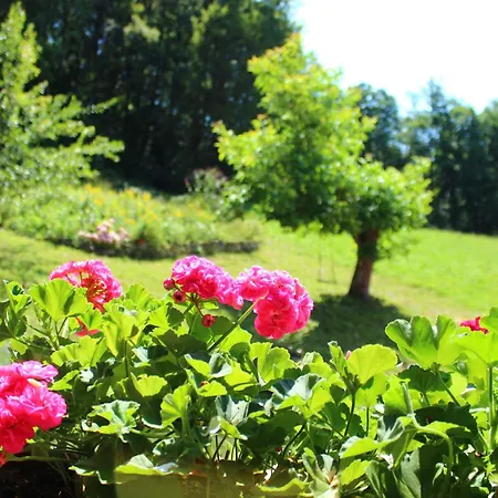 Na Gmajni Pr' Anglezu Nyaraló *