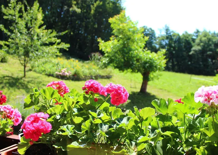 Na Gmajni Pr' Anglezu Dom wakacyjny *