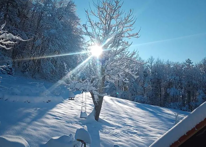 Na Gmajni Pr' Anglezu